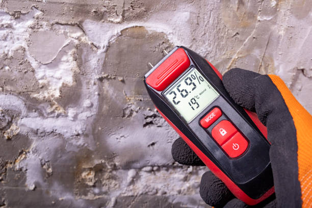 Best Office Mold Removal Services  in Turner, OR