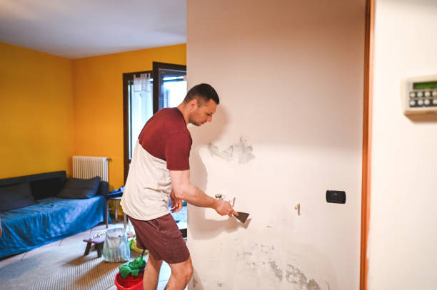 Mold Testing and Removal in Turner, OR